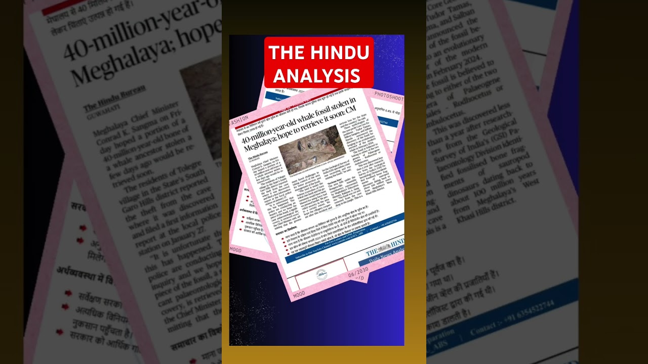 THE HINDU ANALYSIS 