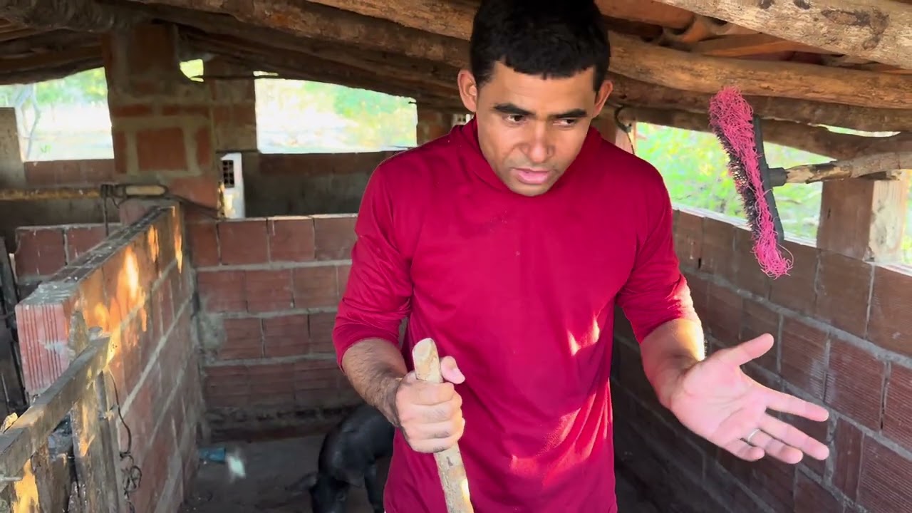Tudo que fazemos quando chegamos na casa dos meus pais.  Parte 2