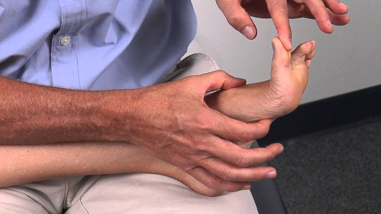 Ankle Muscles
