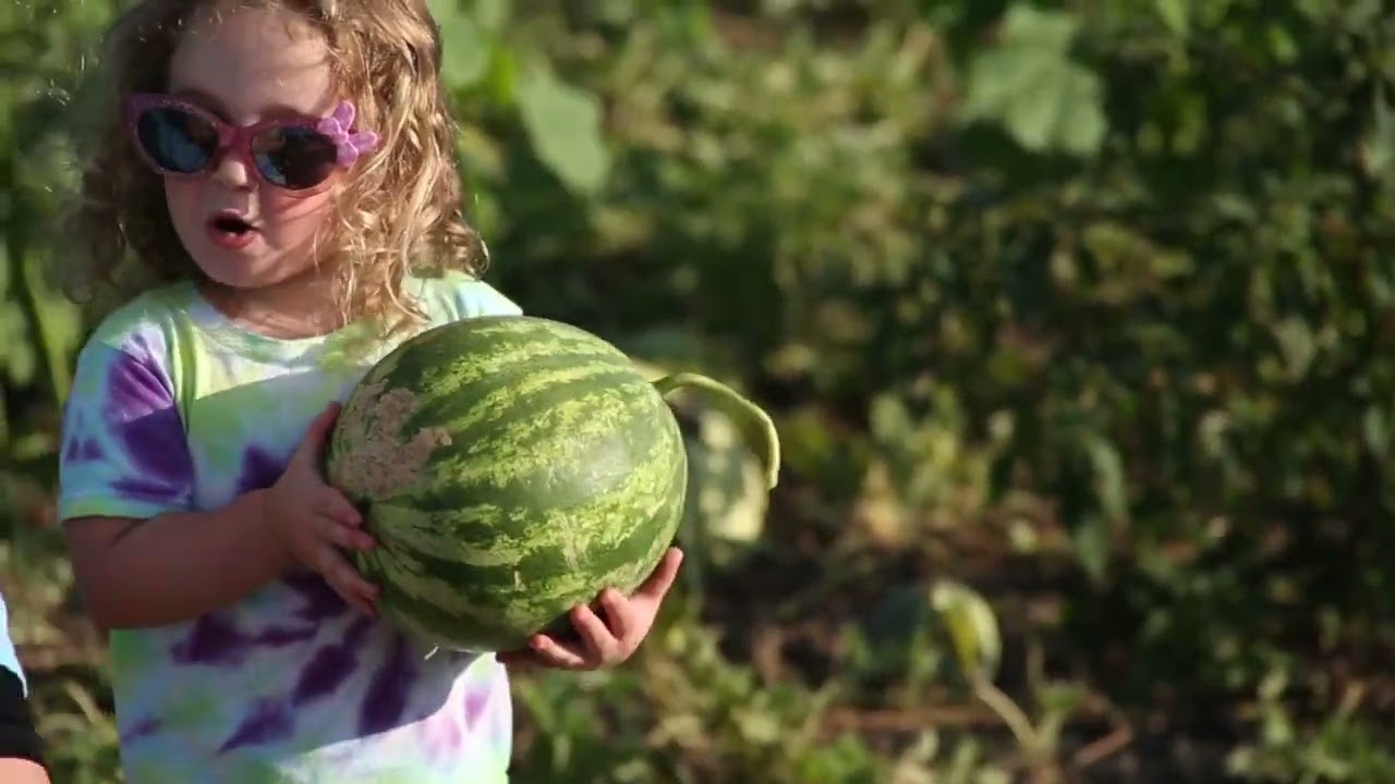 CommunityAid Partner Spotlight: Gleaning The Harvest
