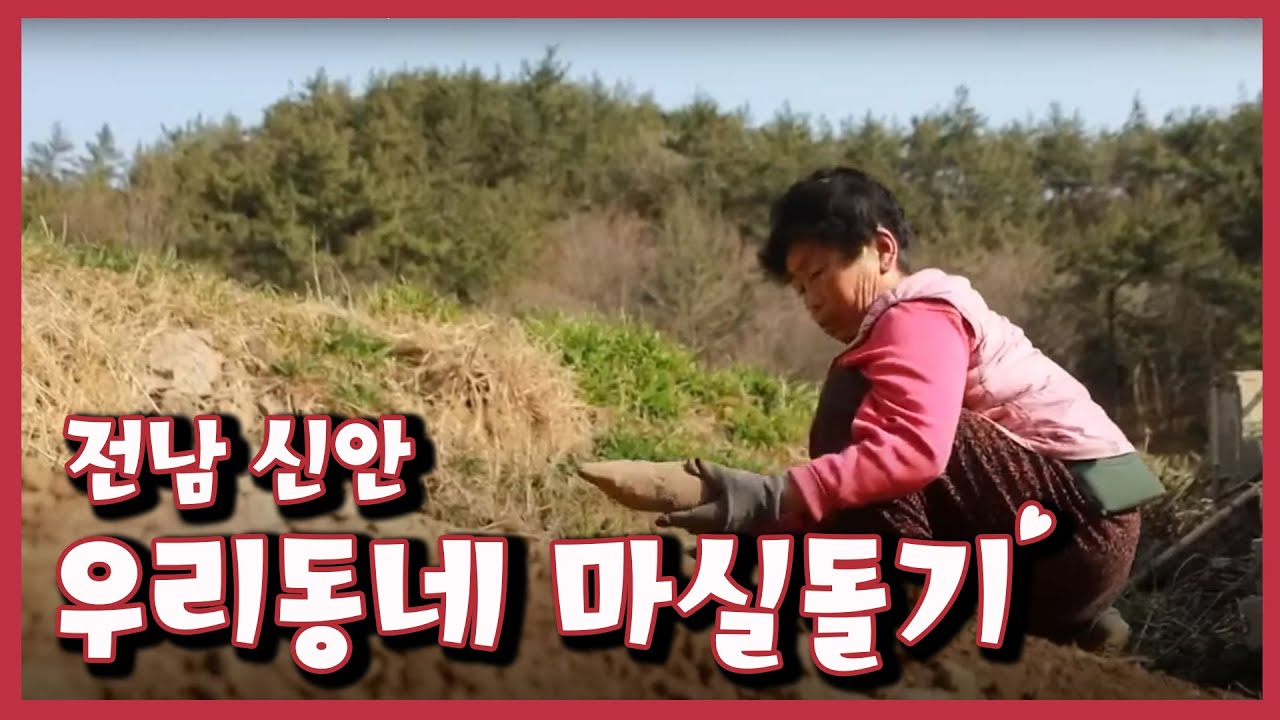 [남도지오그래피] 우리동네 마실돌기, 전남 신안｜KBS 220315 방송