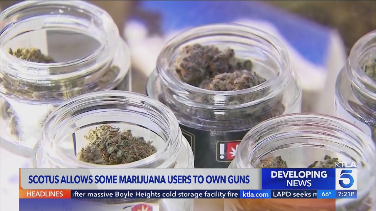 Supreme Court rules habitual marijuana users cannot be BANNED from owning guns