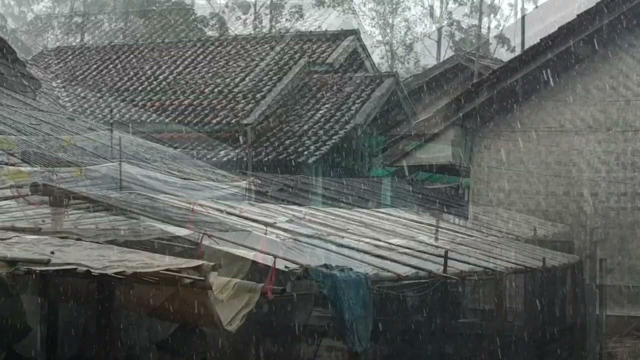 guaranteed to fall asleep in three minutes with the best and gentlest rain