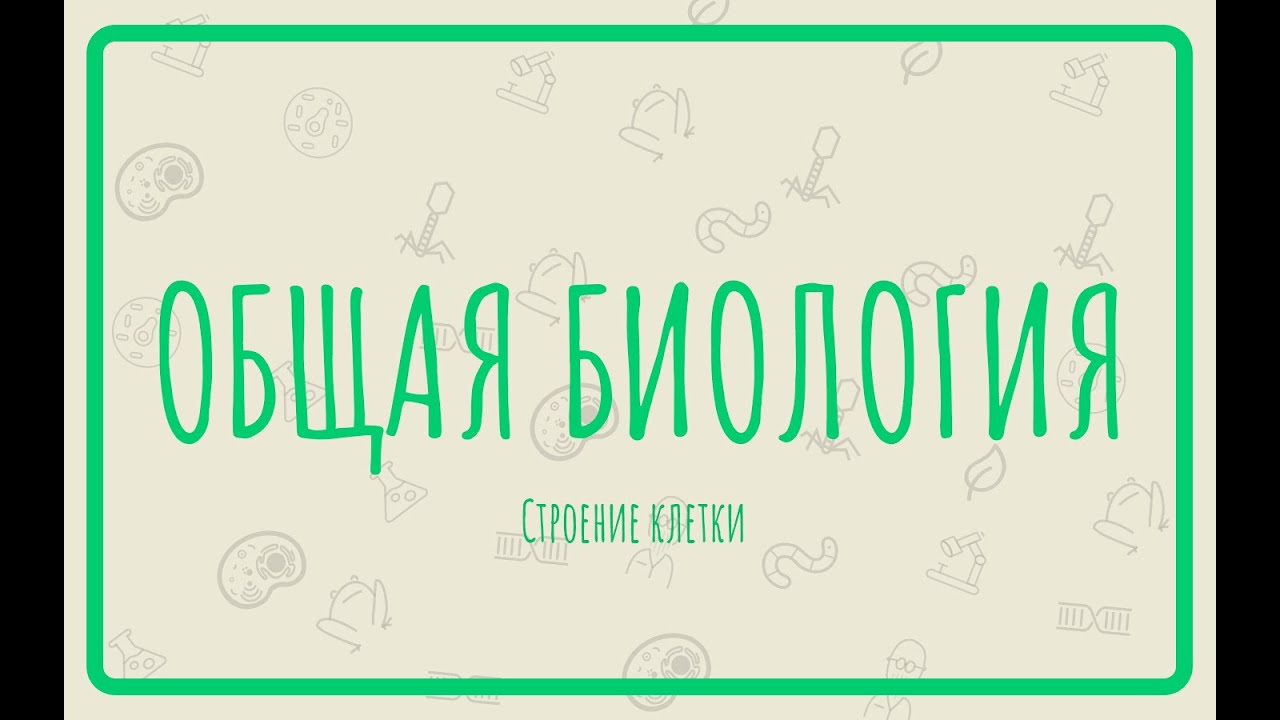 Общая биология. Цитология. Строение клетки часть 1
