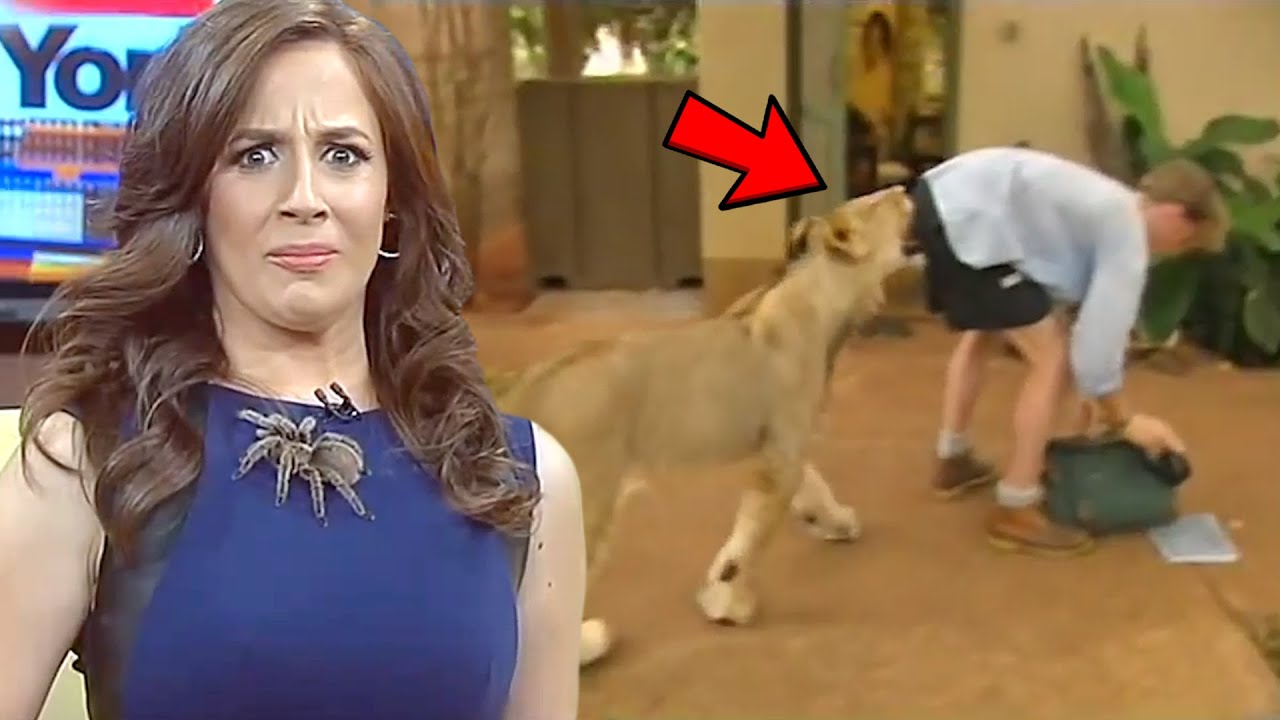 Best News Bloopers 2022