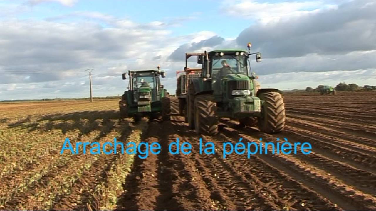 Pépinières Viticoles Morin - Plantation de plants de vigne, taille, greffage par Vinimédia