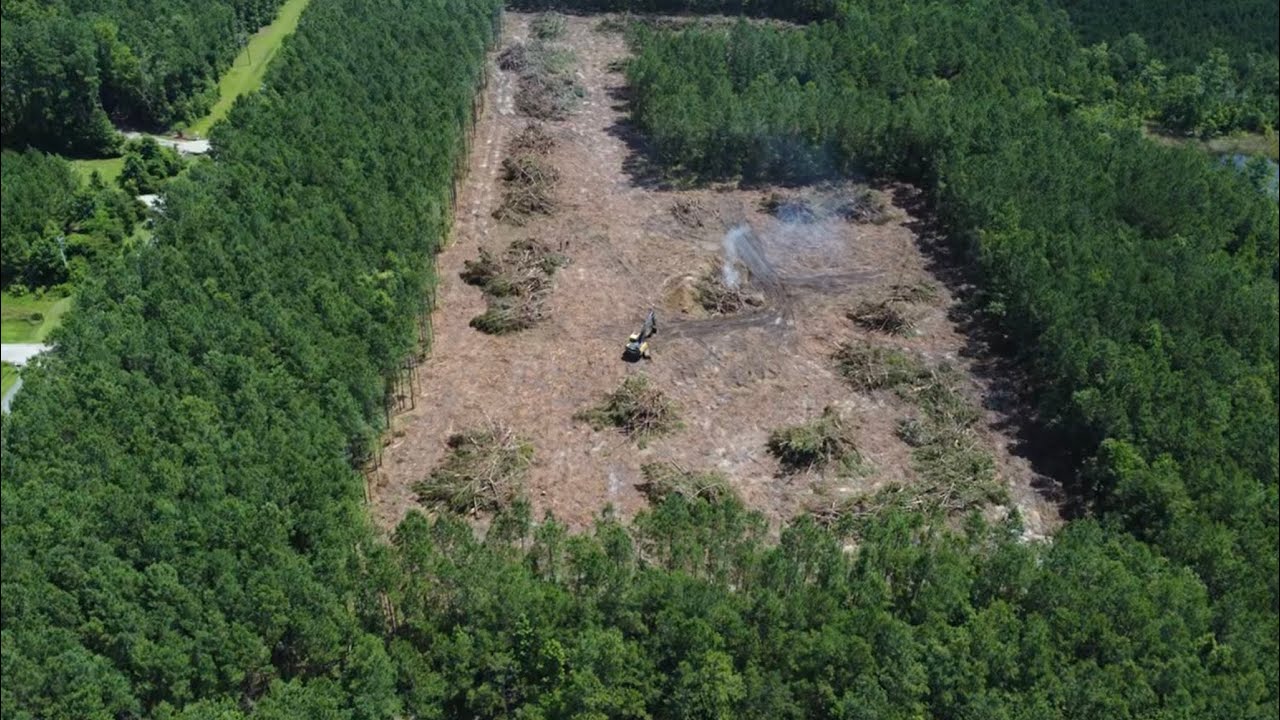 Clearing 4.25 acres for a home site
