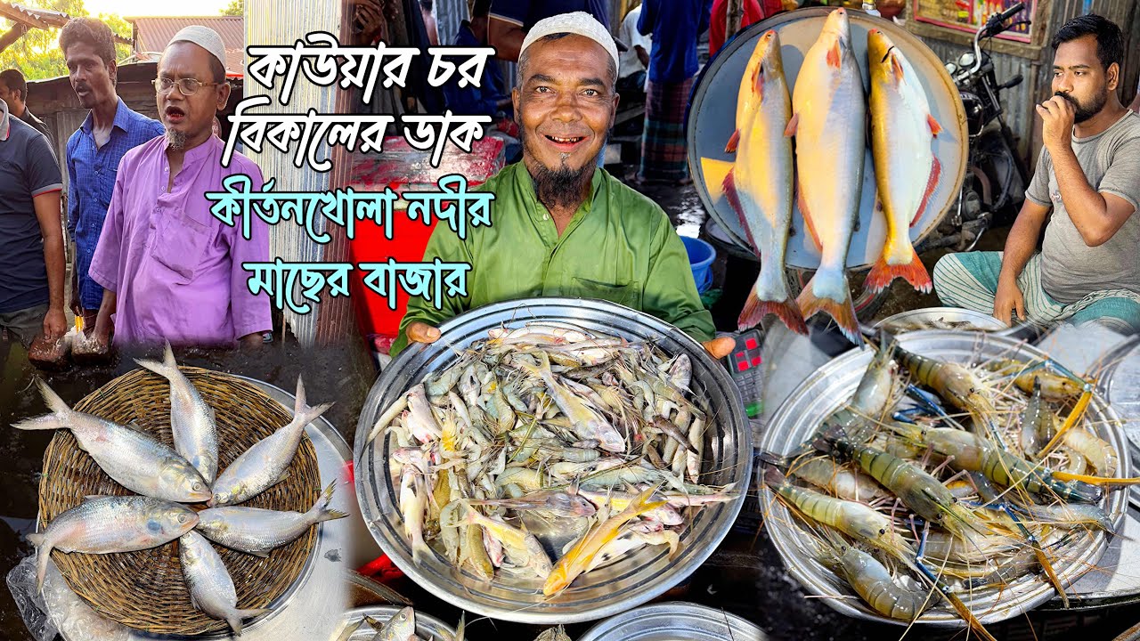 কাউয়ার চরে নদীর ইলিশ, চিংড়ি, জ্যান্ত রিঠা, পাঙ্গাশ, বাইলা 🤩 ডাক হেরে ৯০০ টাকায় কিনলাম নদীর হাছরা মাছ