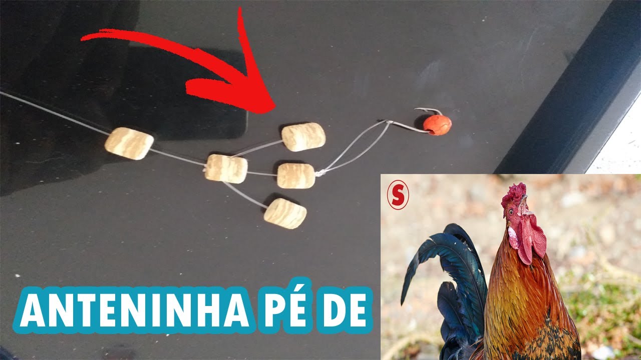 ANTENINHA PÉ DE GALO PASSO A PASSO - THIAGO BENE