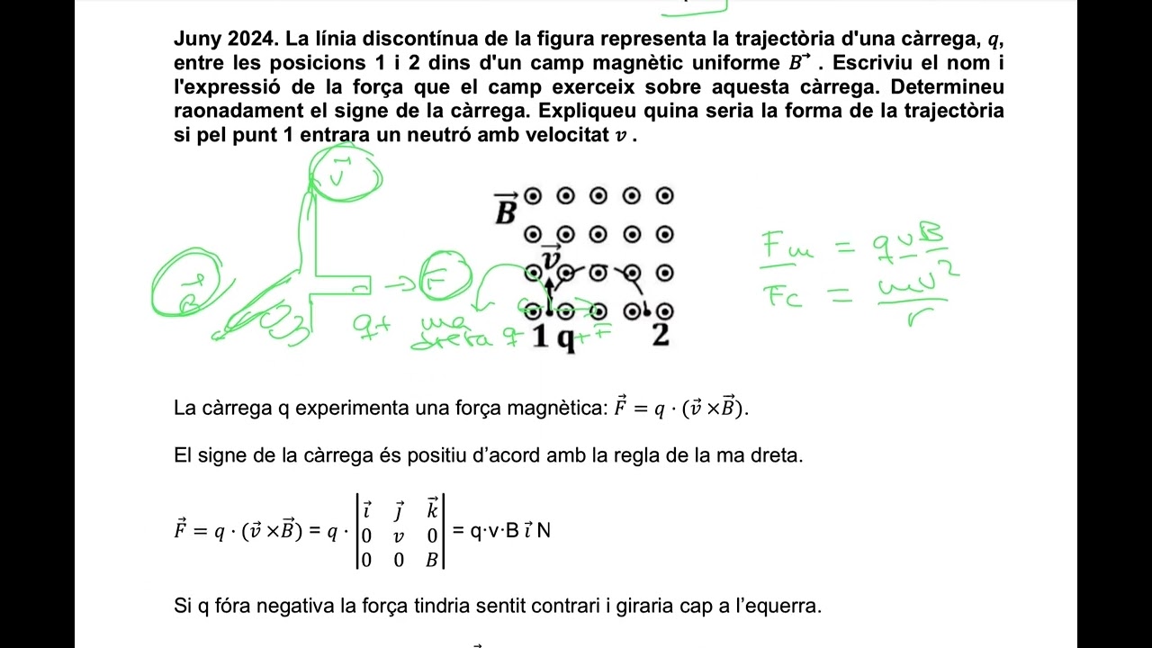 7 QÜESTIÓ DE PAU DE Fm=q*(vxB)