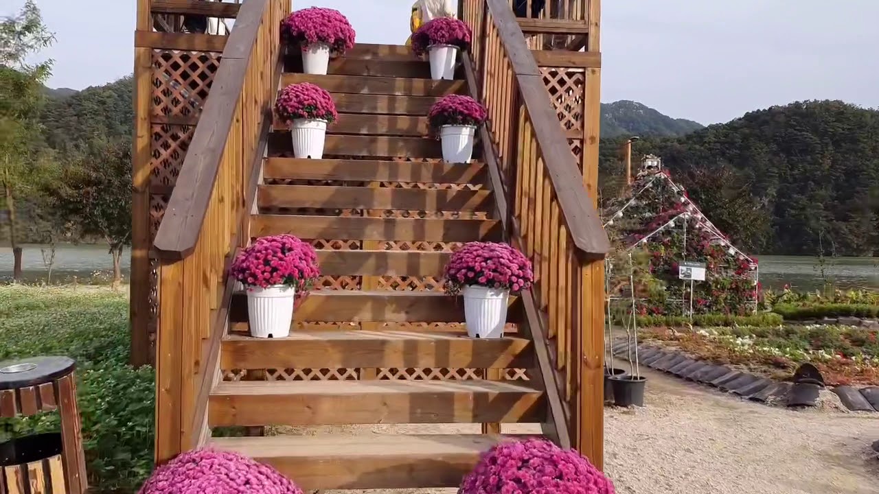 Jara Island (자라섬) | korea