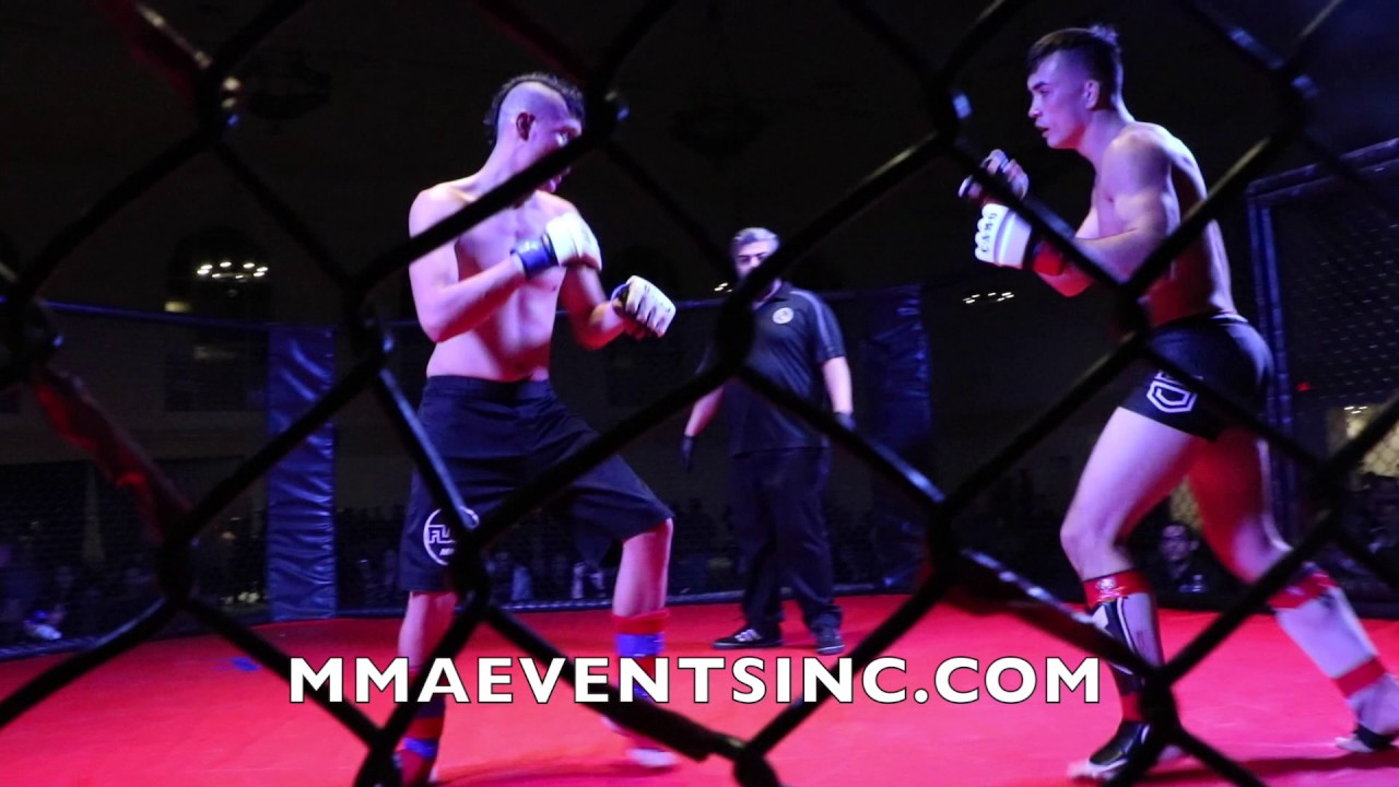 MMA EVENTS INC. MICHAEL STAFFORD VS  BRIAN HAYLES
