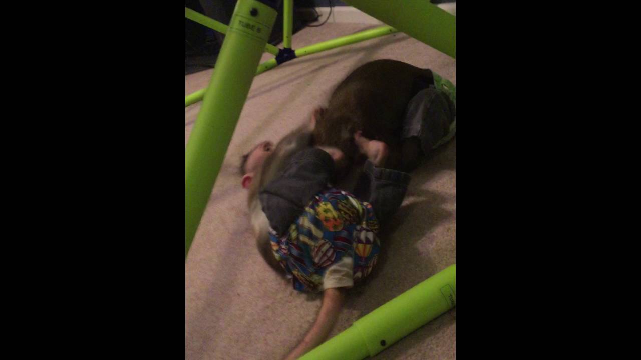 Lily at 6 weeks old learning to play.