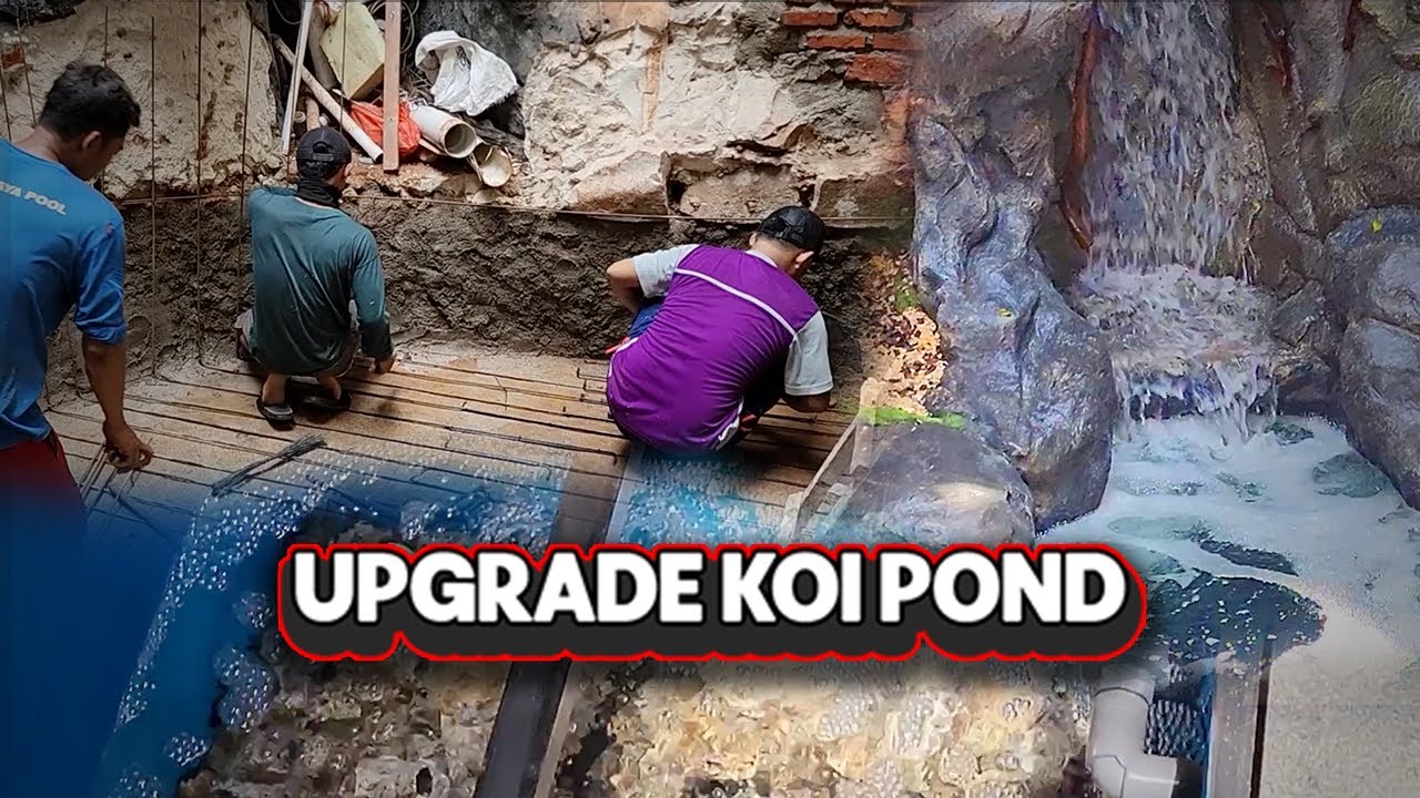 Upgrade Koi Pond