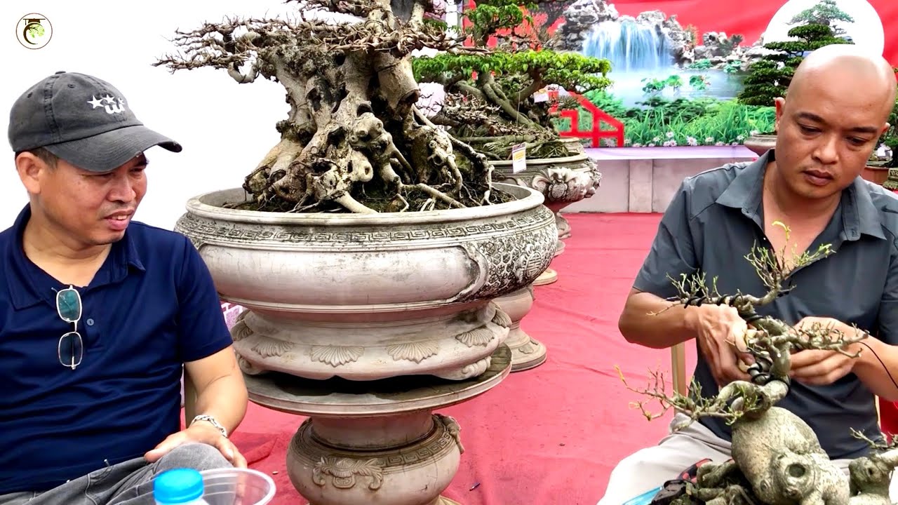 Bổng Điền hôm nay có gì ? 