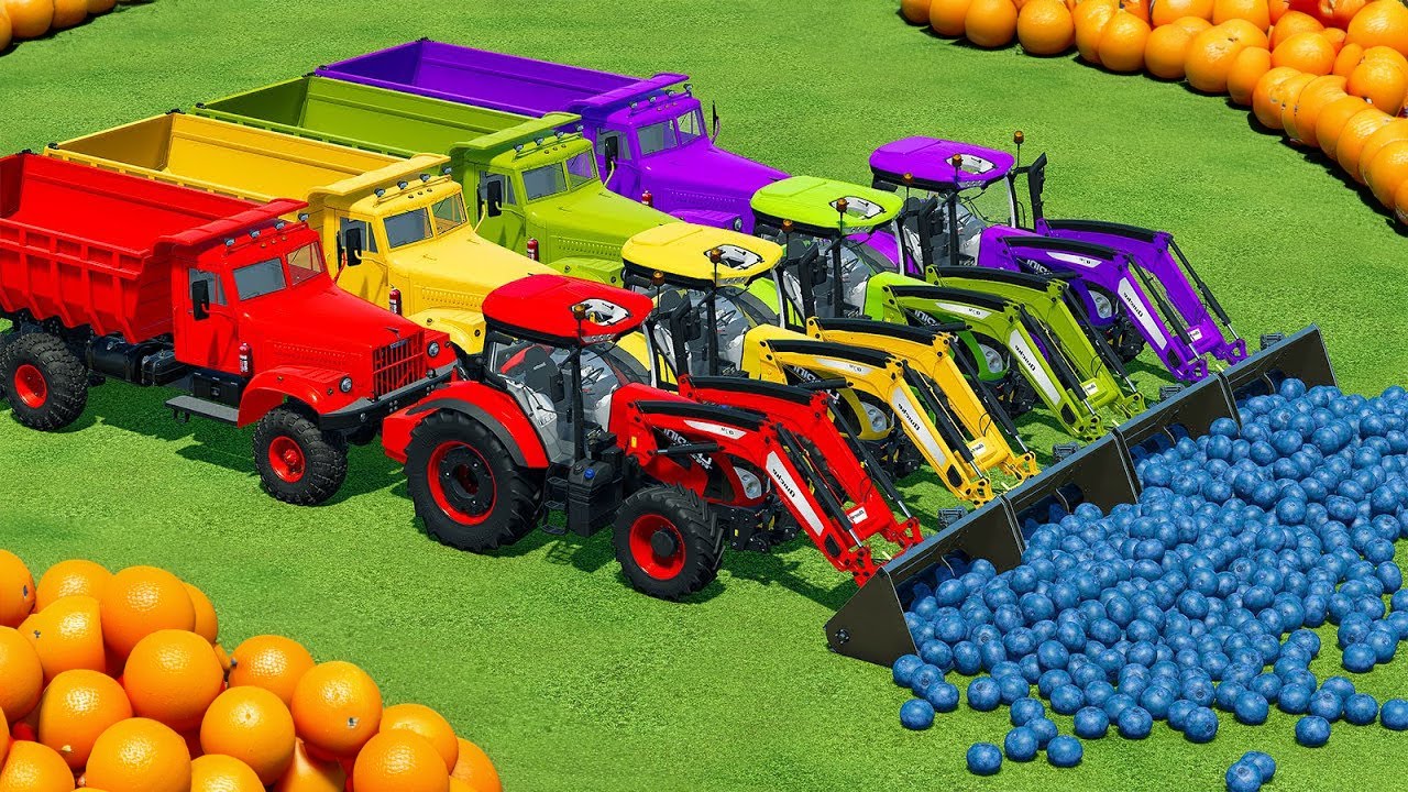 LOAD AND TRANSPORT ORANGES & BLUEBERRIES FRUITS WITH CLAAS AND LANDINI TRACTORS - FS22