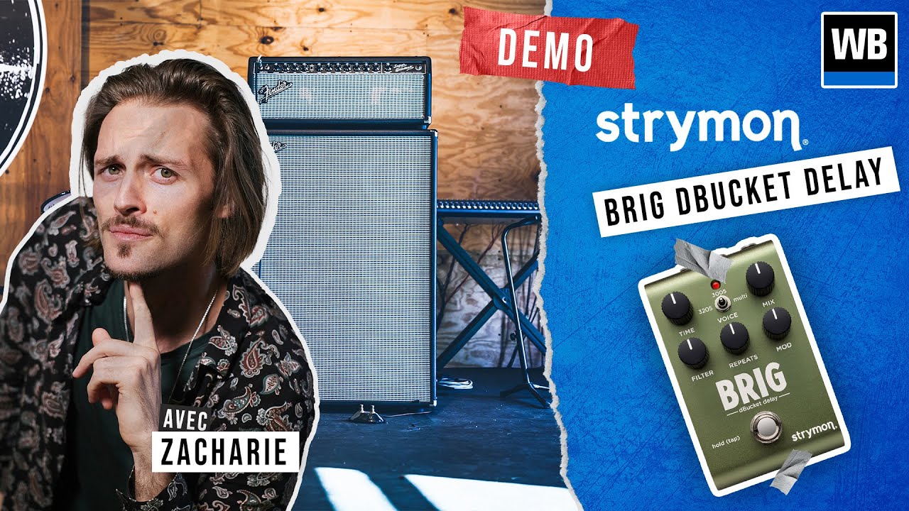 Strymon BRIG DBUCKET DELAY - Complet et authentique !