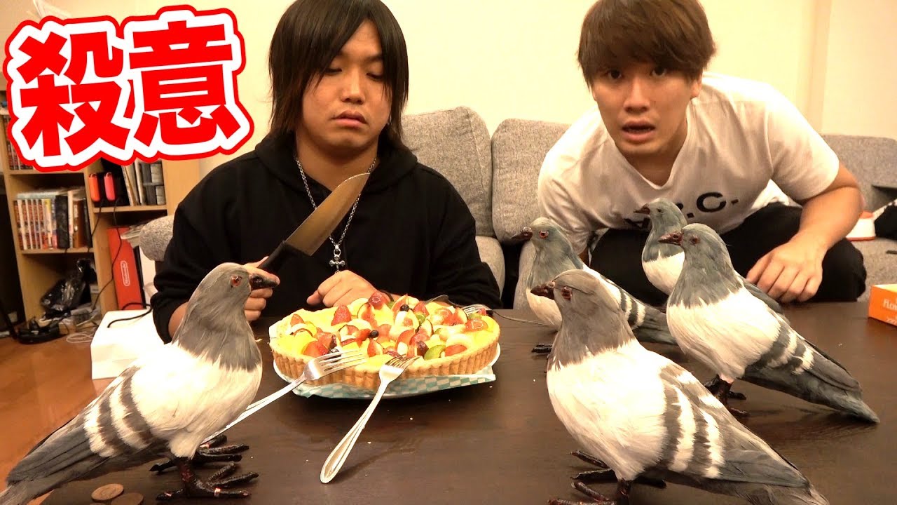 トミー、鳩が触ったケーキ食べるの？捨てるの？