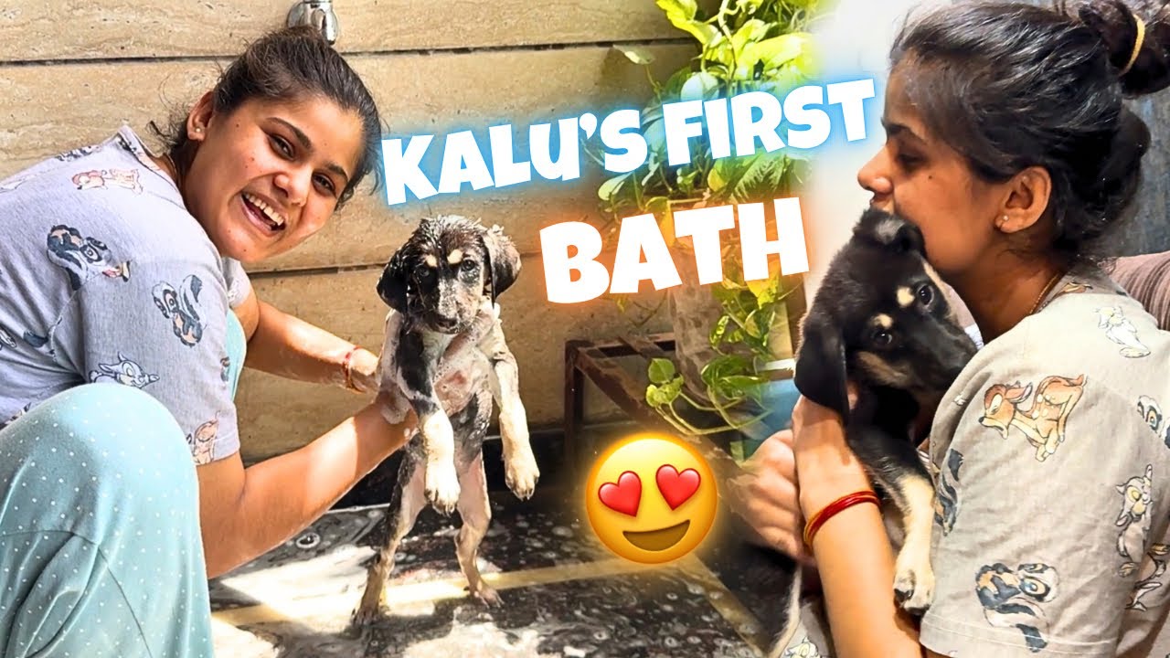 Puppy’s First Bath ❤️🐾 #vlog