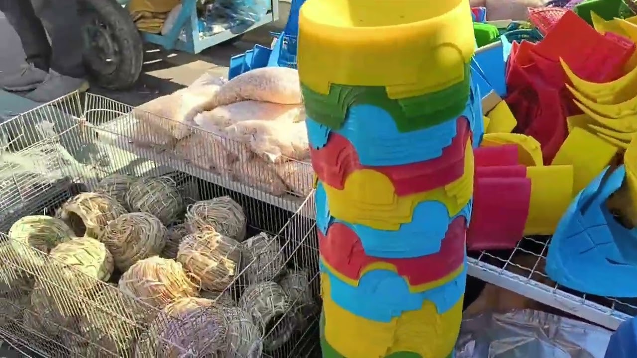 سوق الجمعة في اربيل تعالوا شوفوا شنو اشترينا 