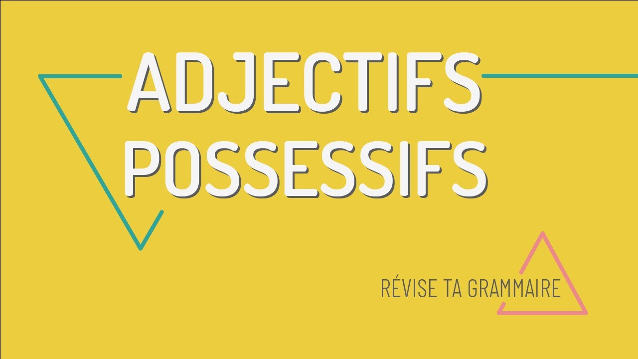 Révise ta grammaire : les adjectifs possessifs en français