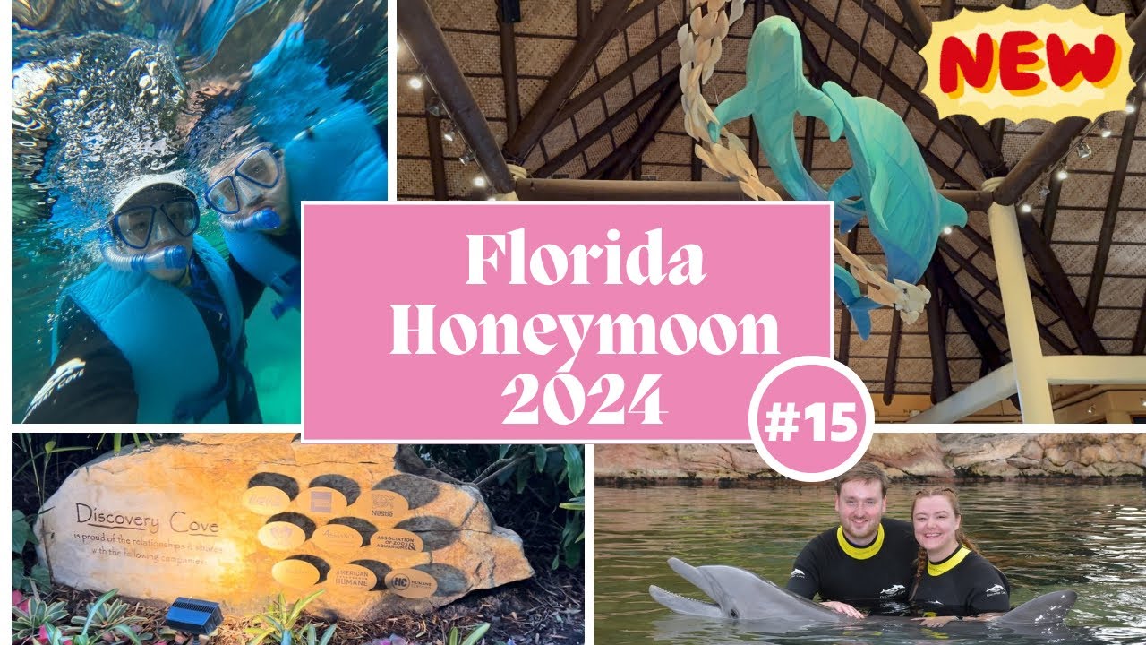 Florida 2024 Vlog | Discovery Cove, Dolphin Swim & All-Inclusive Dining