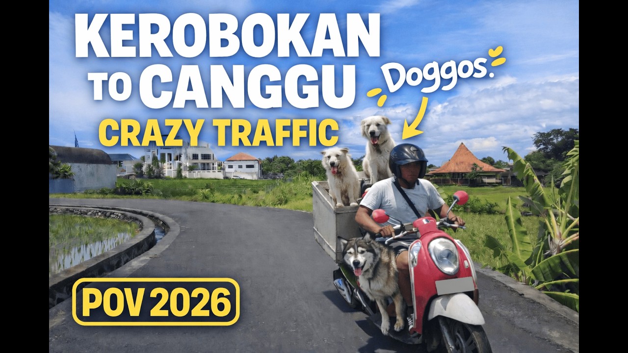 Kerobokan to Canggu, Bali by Scooter | POV | Traffic | Dogs!