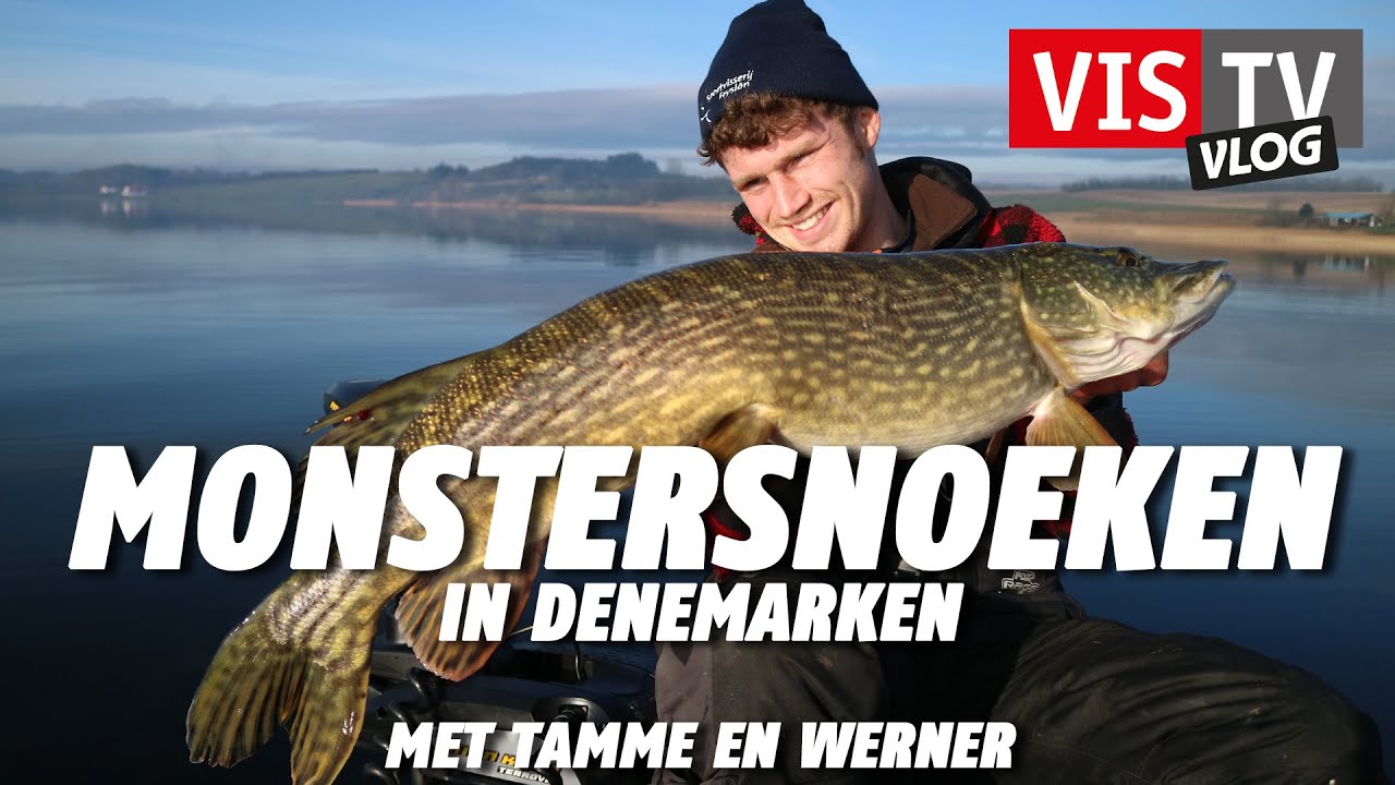 VIS TV Vlog #36 - Deense monstersnoeken