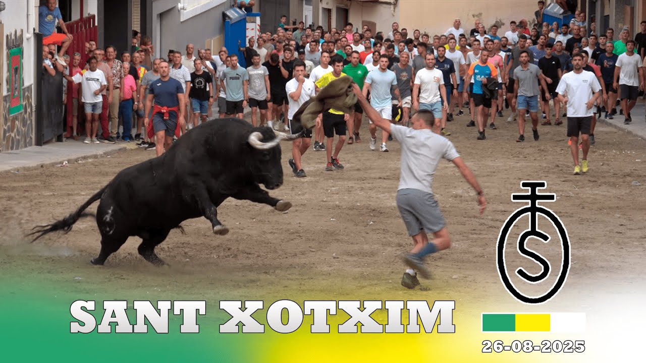 4K - TORO DE GERARDO ORTEGA EN SANT XOTXIM (La Vilavella) - 26/08/2025