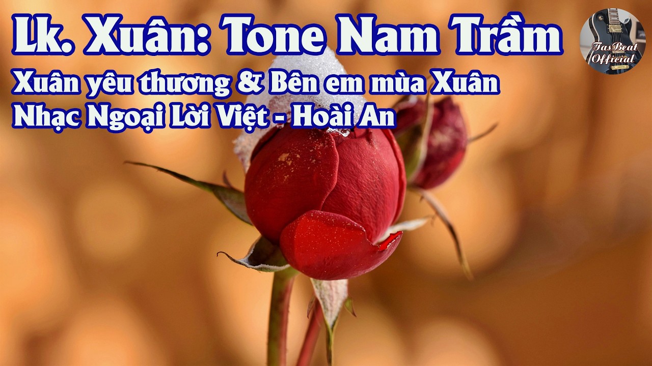 Karaoke Lk Xuân: Xuân Yêu Thương & Bên Em Mùa Xuân Tone Nam Trầm | TAS BEAT