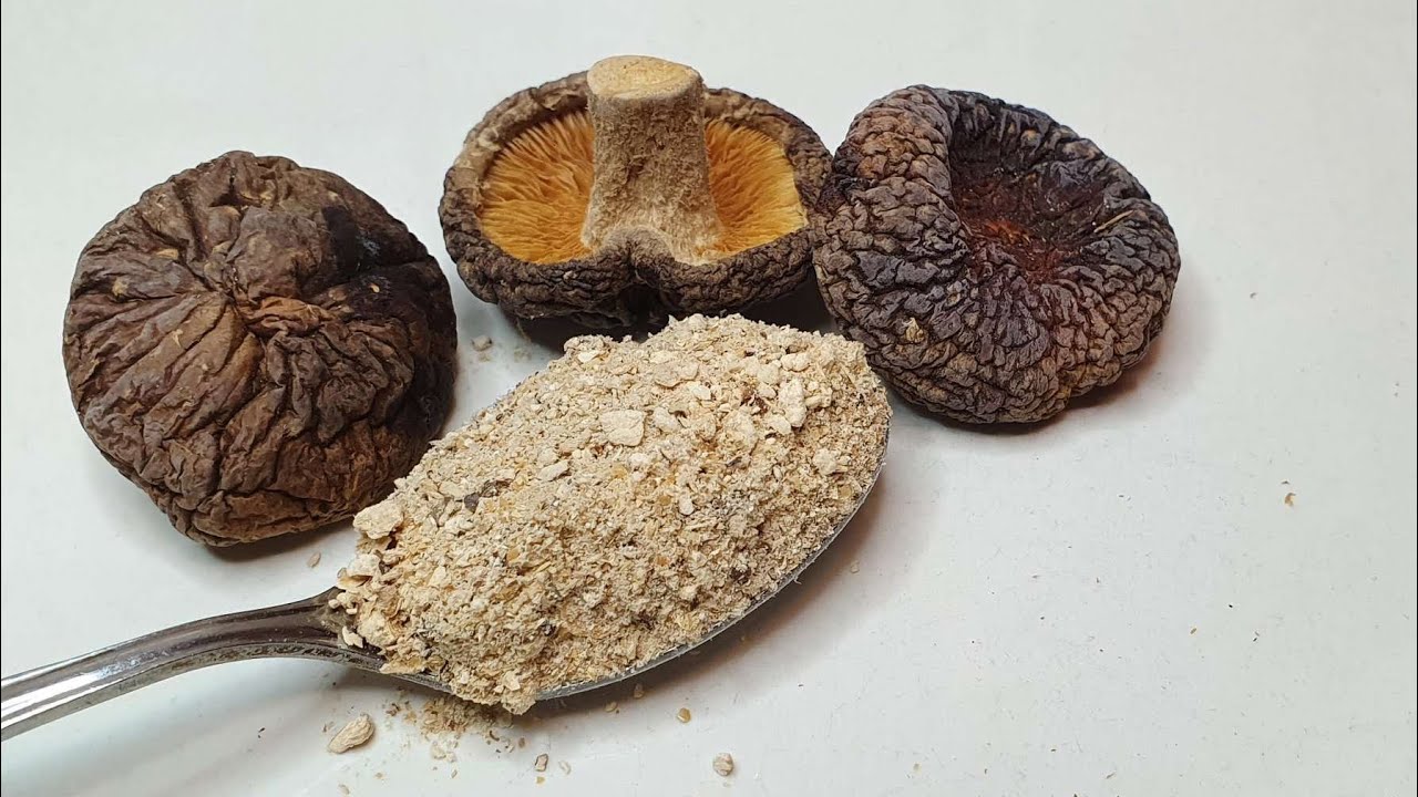 Shiitake Pilze - Der König unter den Heilpilzen in China und Japan / Wirkung und Anwendung / 冬菇 / 椎茸
