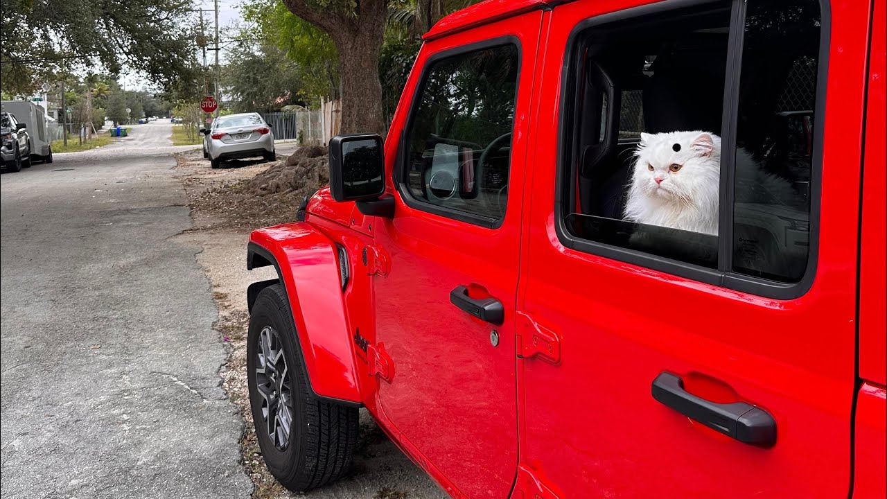 Jeep Wrangler Review in Bengali