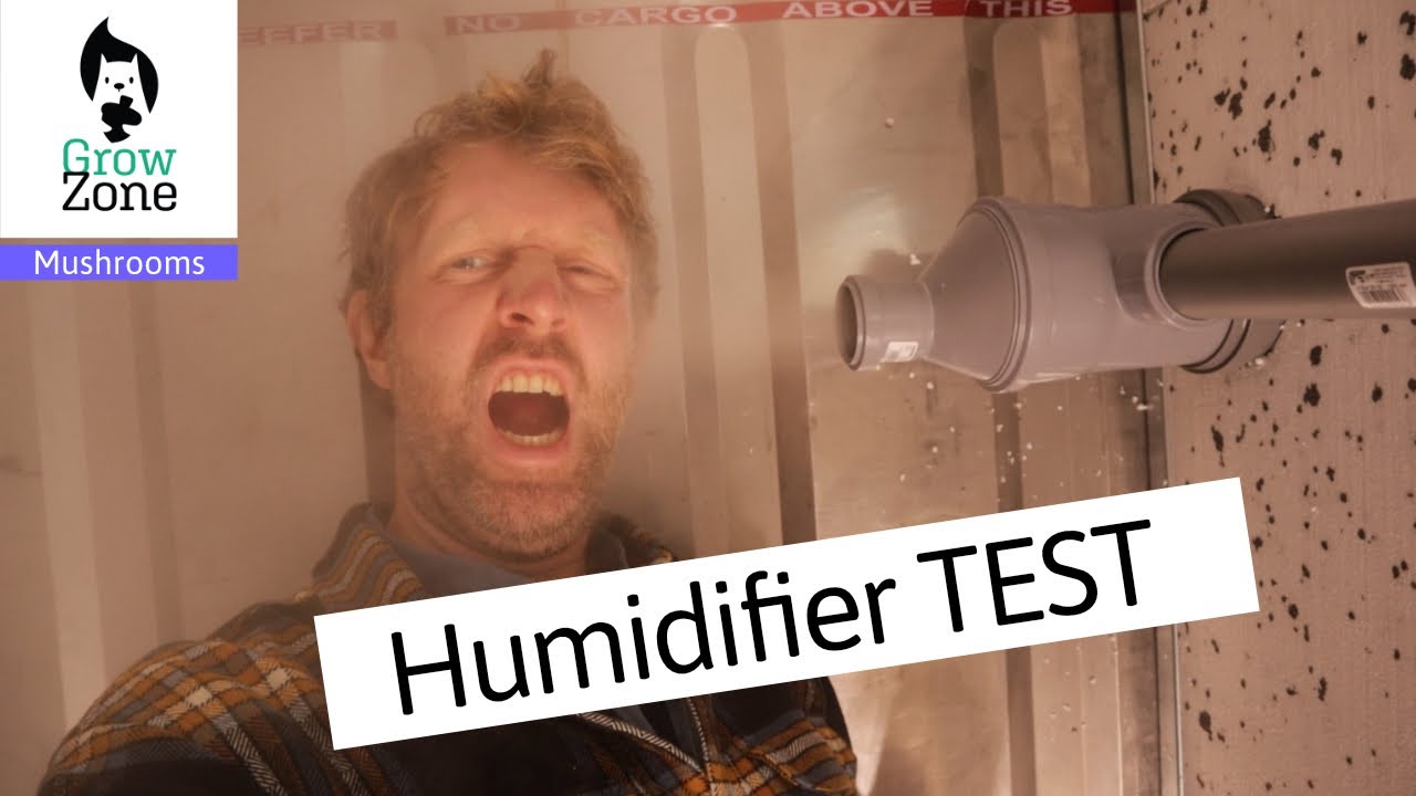 Mushroom farm build: How I Set Up Humidity for Gourmet Mushrooms in a Container