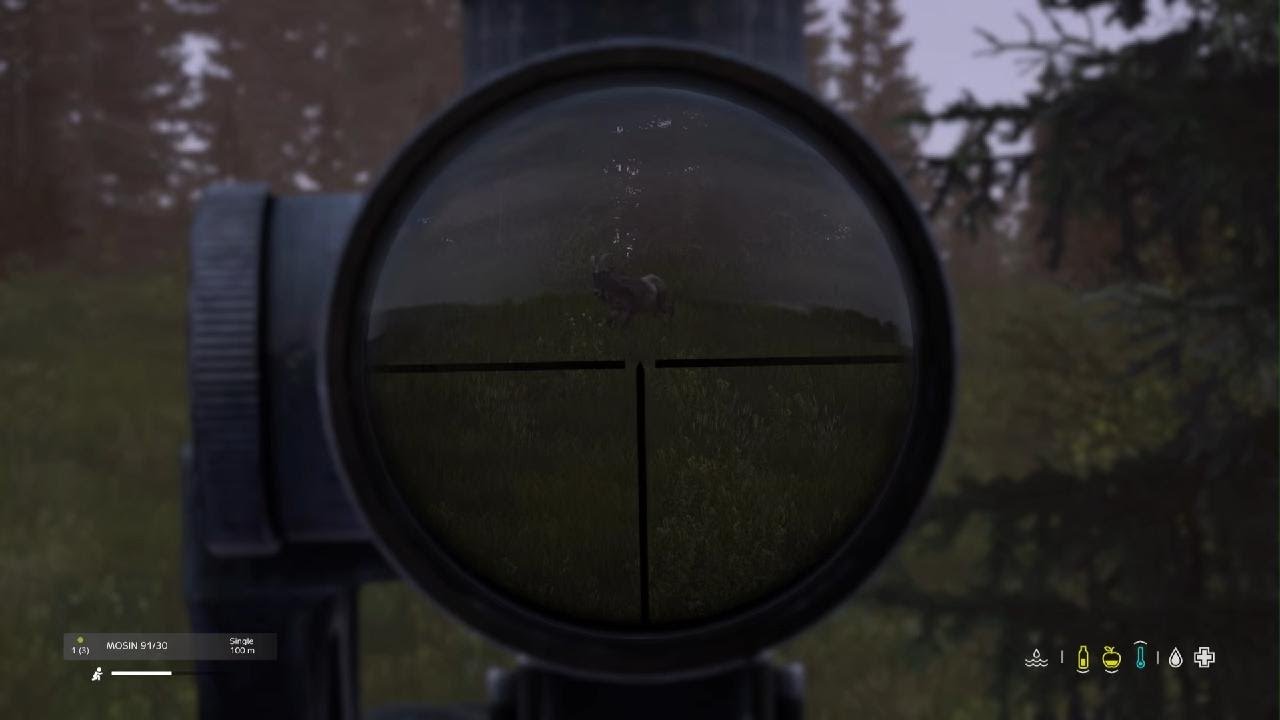 Hunting is a Dangerous Sport - DayZ | Ps5 | 4k | 1080p