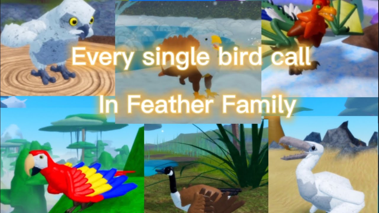 Every single bird call in Feather Family🪶(OUTDATED/part 2 in description)