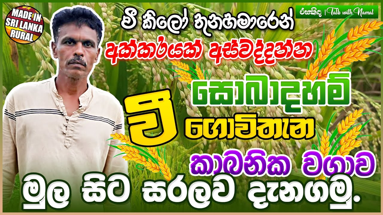සොබාදහම් ගොවිතැනින් වගාව ජයගත් කපිල නිලන්ත | Organic Farmer in Giriulla