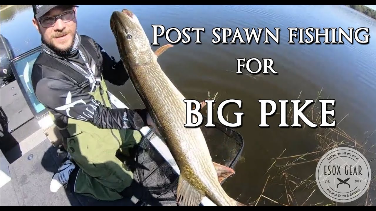 Esox Gear Post Spawn Fishing
