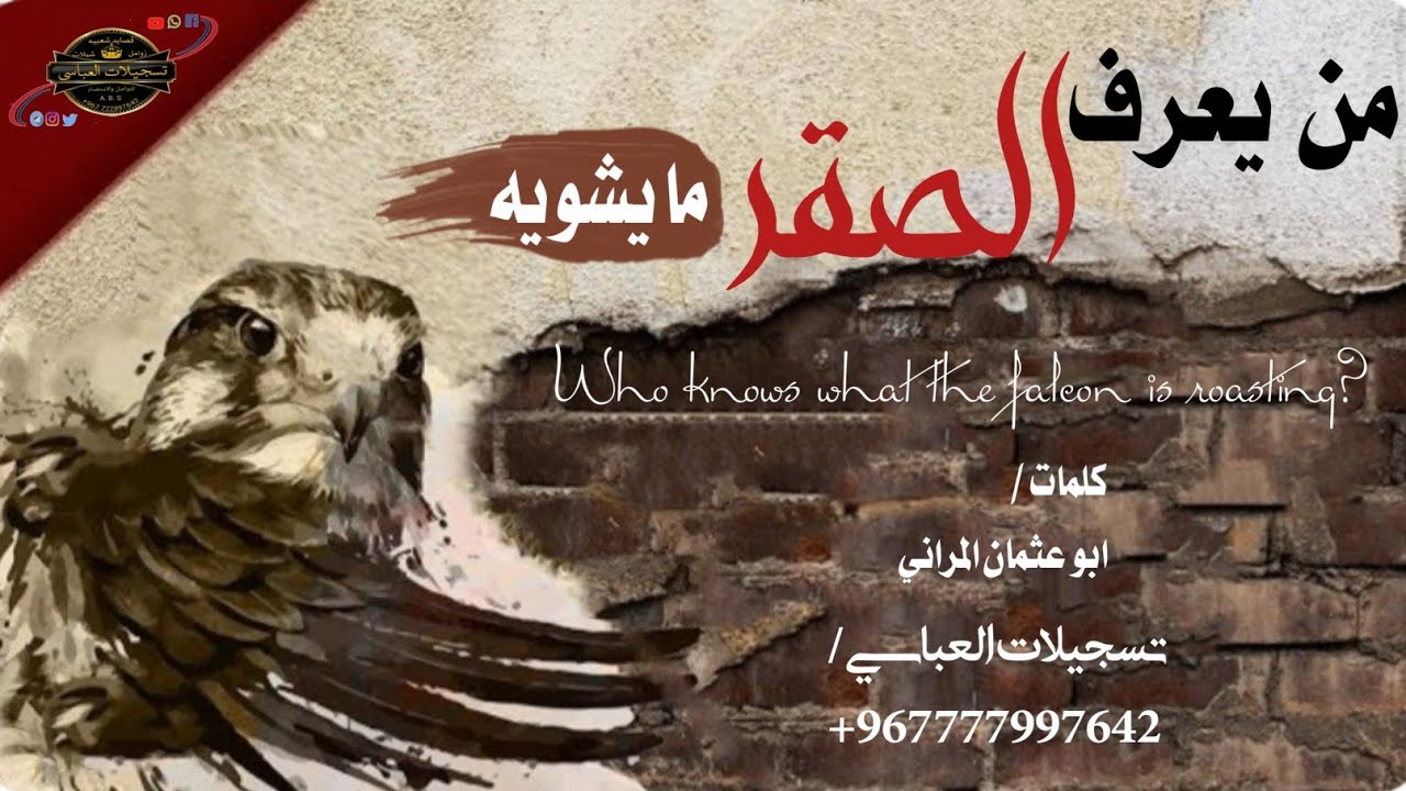 قصيده بعنوان من يعرف الصقر ما يشويه من كلمات الشاعر ابو عثمان المداني تتحدث عن الصحب جديد 2021