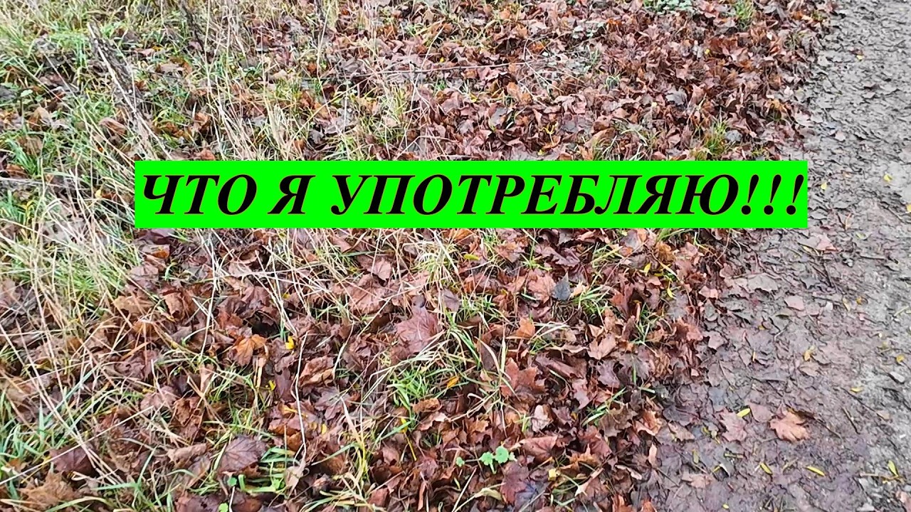 Что я  УПОТРЕБЛЯЮ!!!