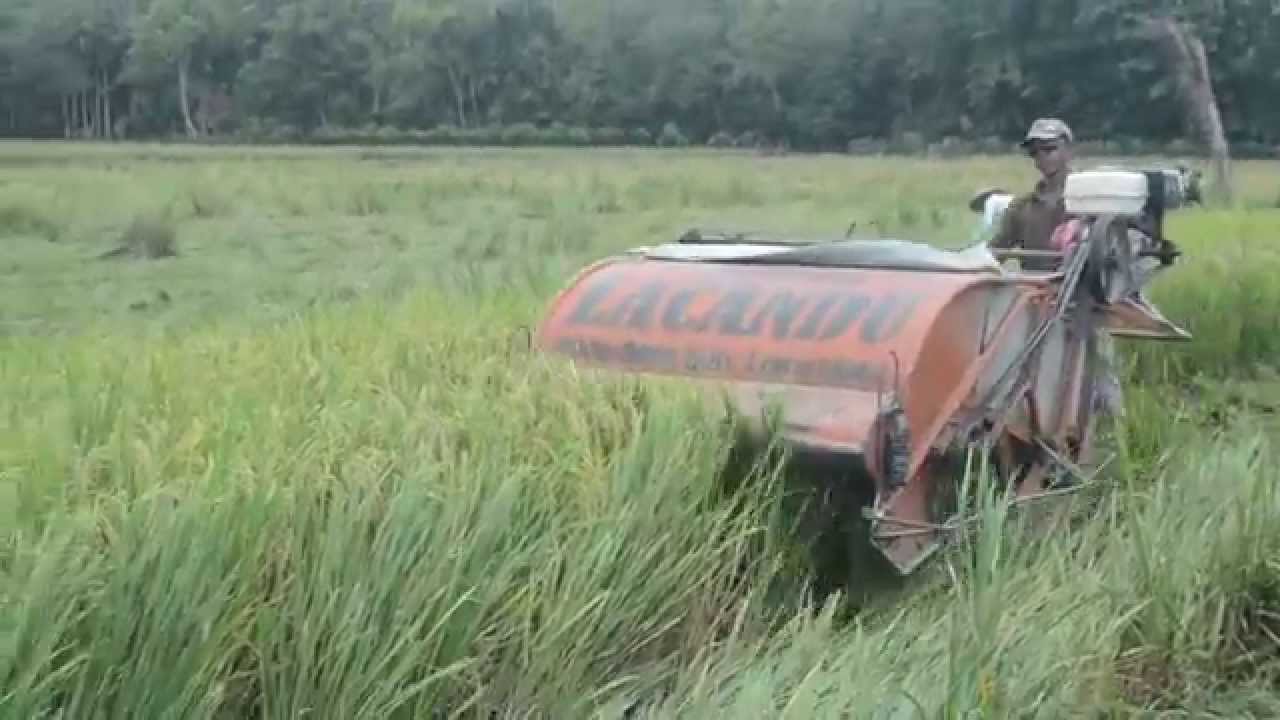 Mesin Pemanen Padi Lacandu tercanggih di Indonesia