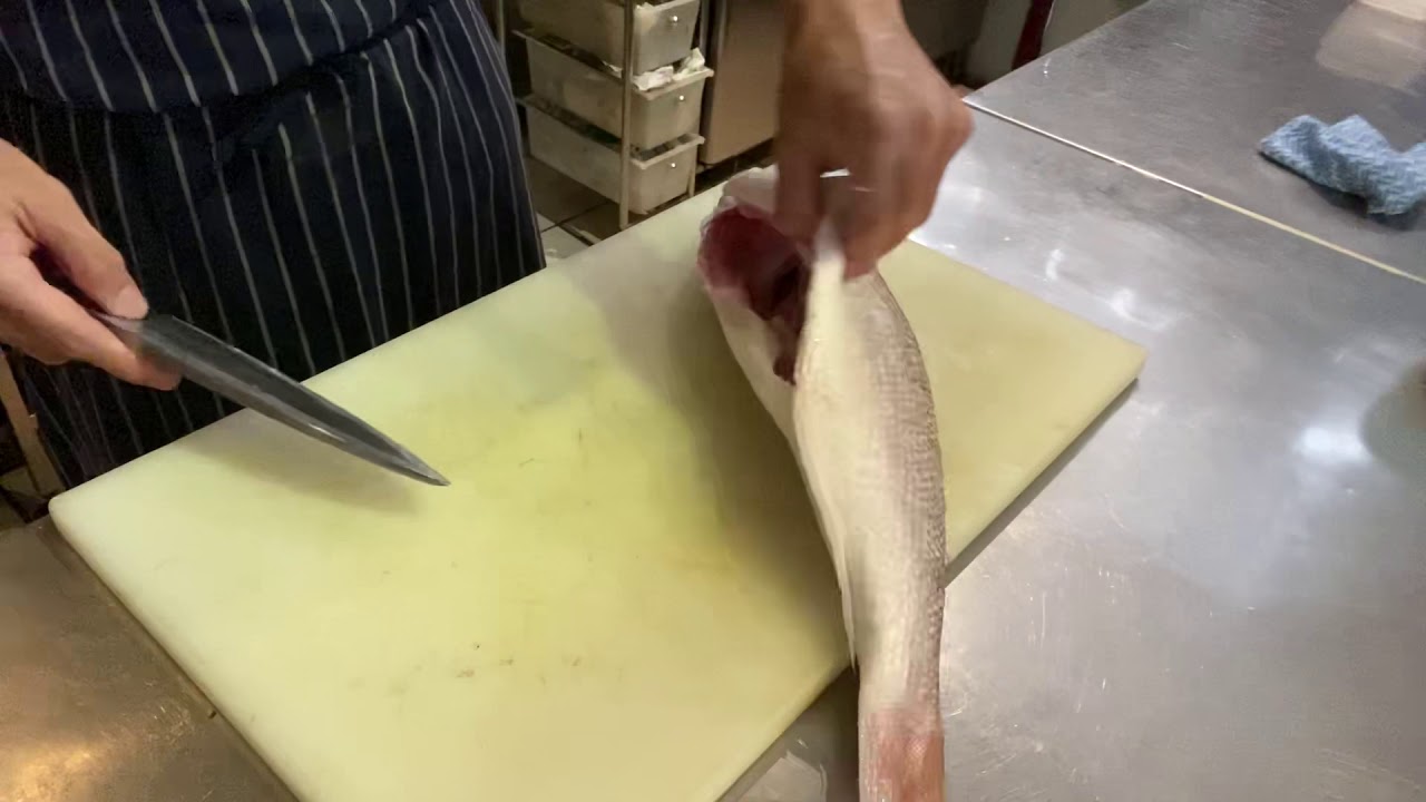 Actual Japanese chef fish filleting