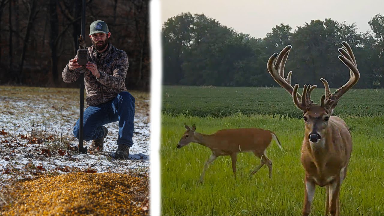 Population Management & Supplemental Feeding Produces BIG BUCKS | The Flatlander