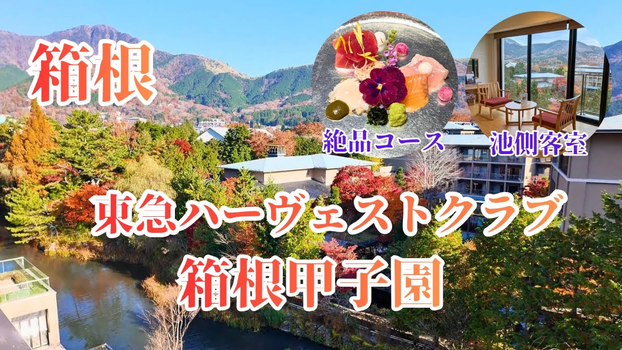 【箱根】会員でなくても宿泊可能！東急ハーヴェストクラブ箱根甲子園 紅葉シーズンは本当に良い？ビュッフェとコースの違いを解説