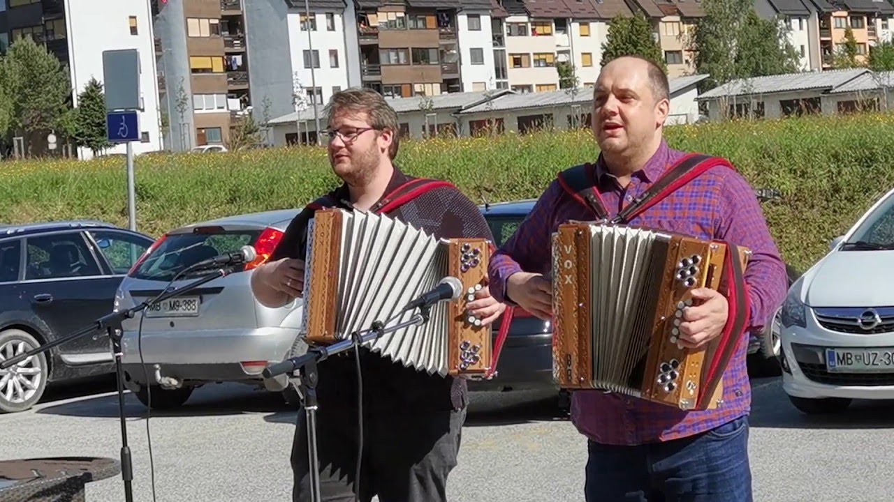 Rok Švab in Martin Juhart, Modrijani in Poskočni- Ajda na polju, Čebelar, Na Golici (Modrijani DOMA)