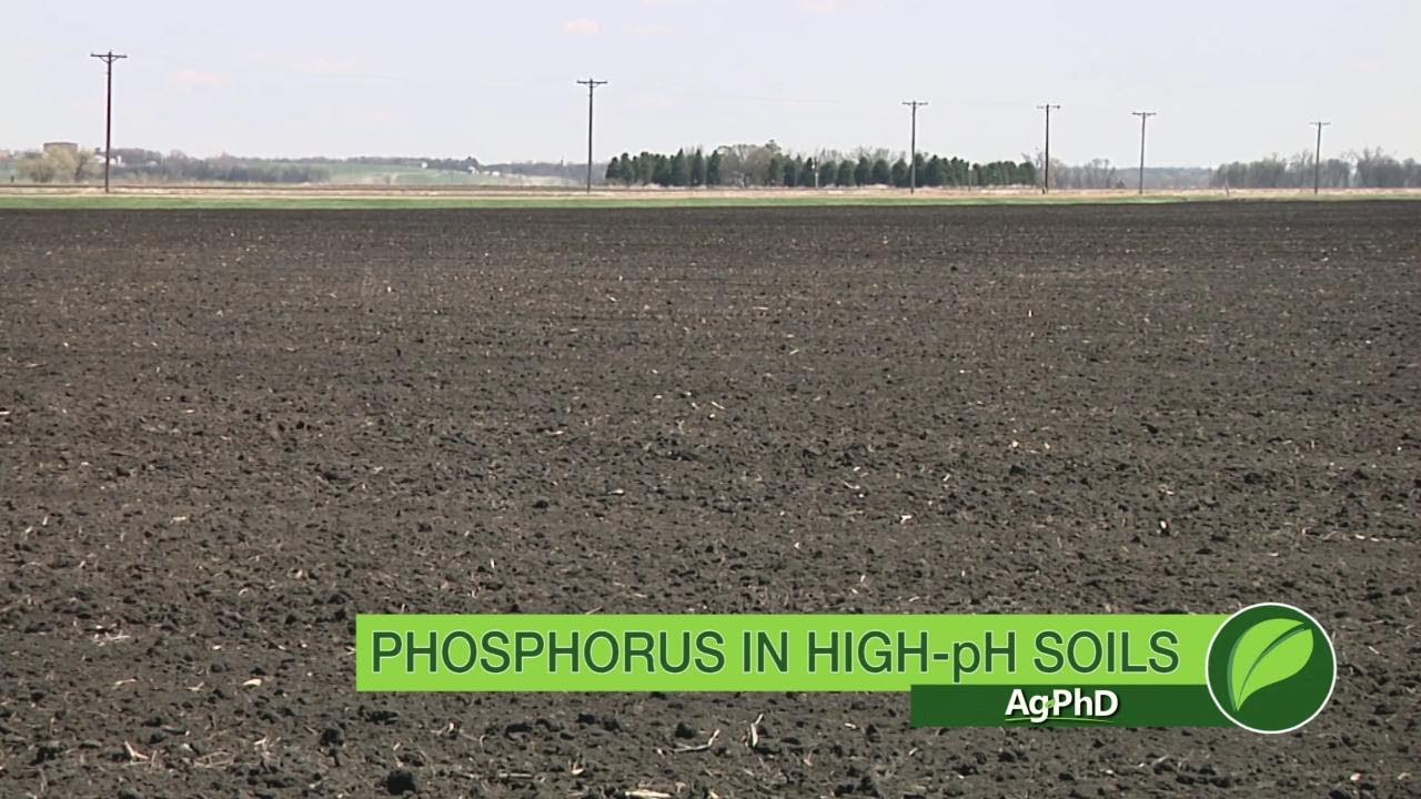 Phosphorus In High-pH Soils #1021 (Air Date 10-29-17)