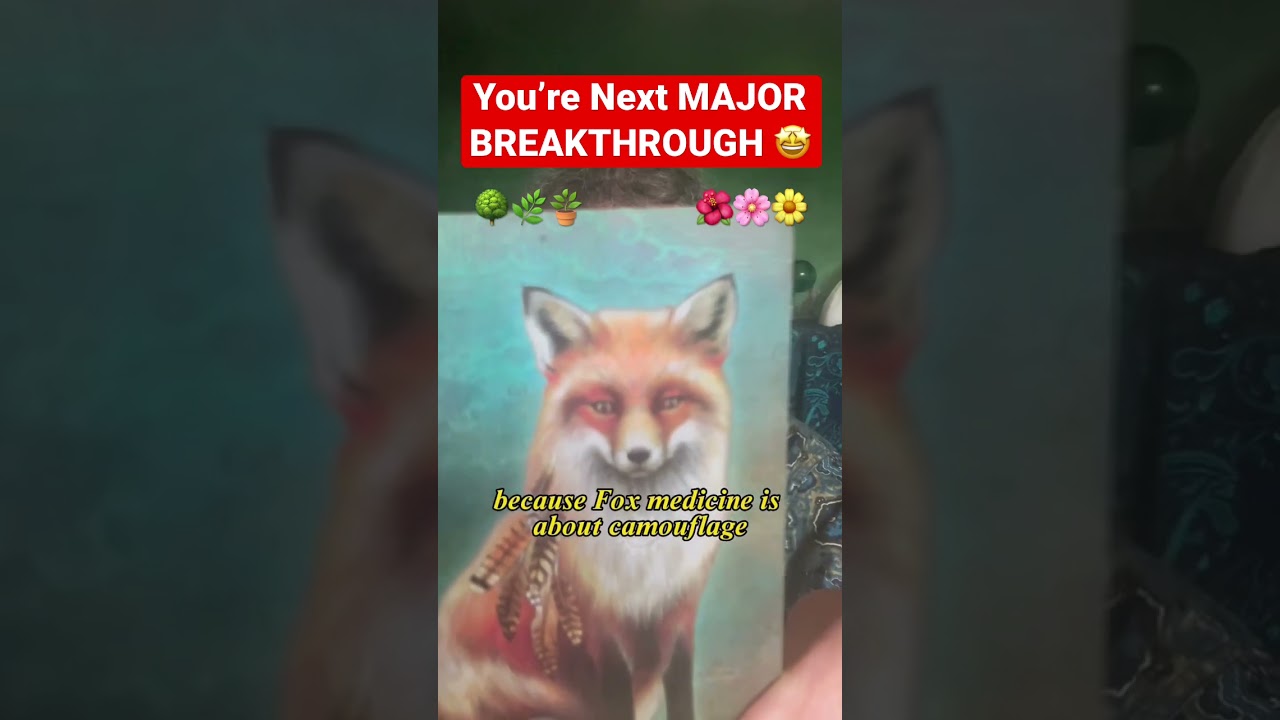 Pick-A-Card/Angel Card Reading; BIG LIFE CHANGE AHEAD 😳🤩