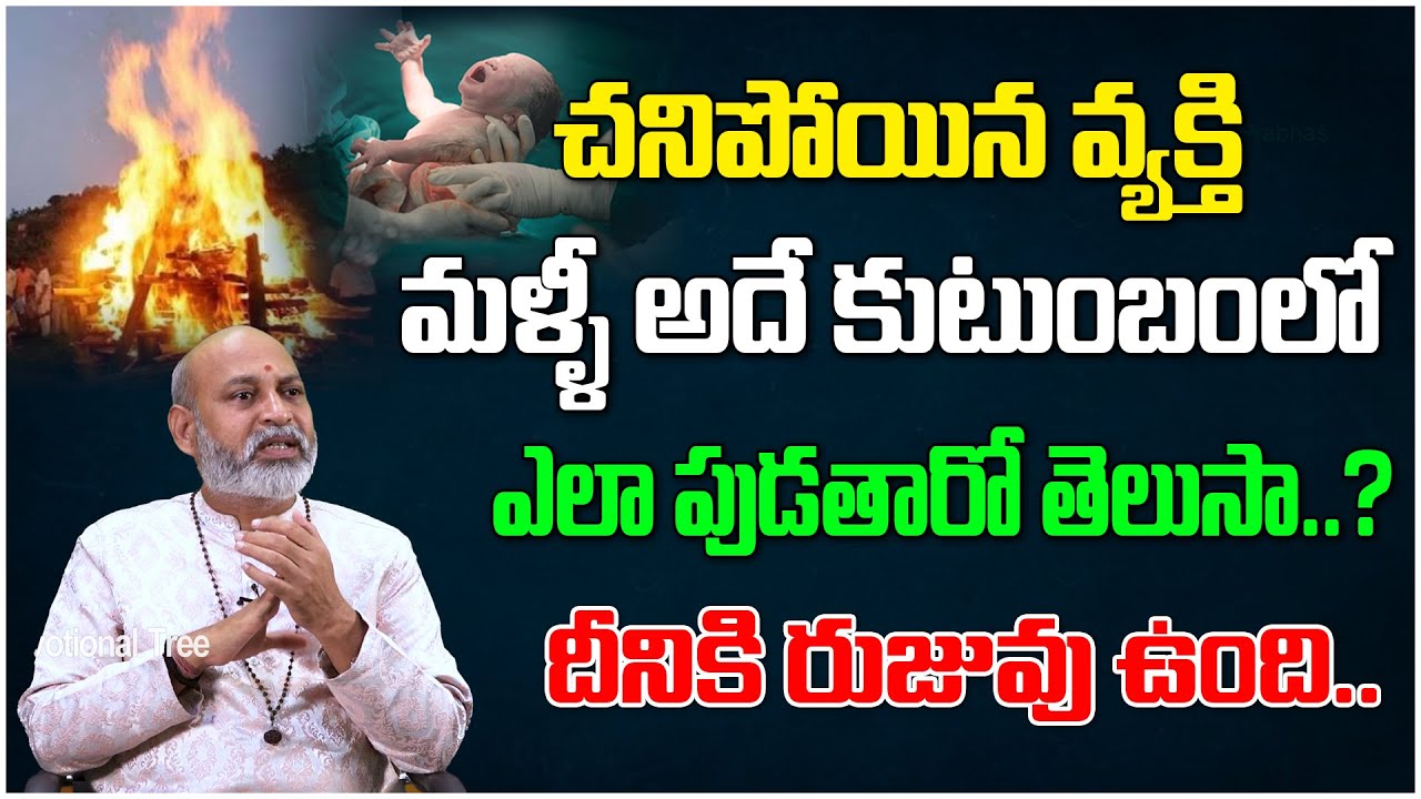 చనిపోయిన వ్యక్తి  అదే కుటుంబంలో ఎలా పుడతారో  తెలుసా..? | Dharma Sandhehalu #621 | Devotional Tree