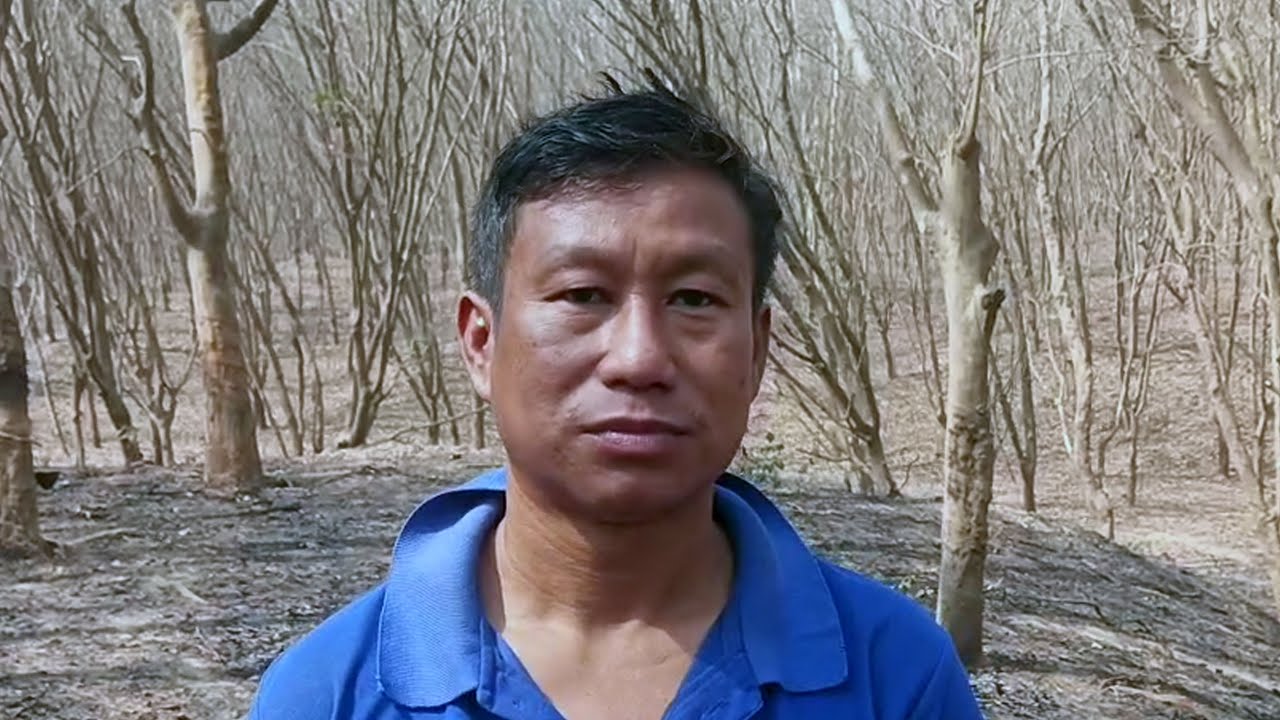 Charilam Bastali Boiramura Amchai ni Pintu Debbarnma ni Rubber Bagan Hor Sokchawi Rwkha Themrangrok
