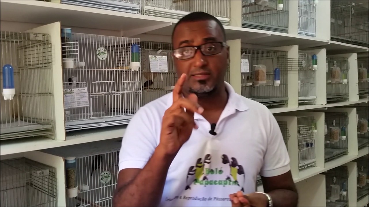 A FÊMEA PÔS OVOS SEM CRUZAR, O QUÊ FAZER ???