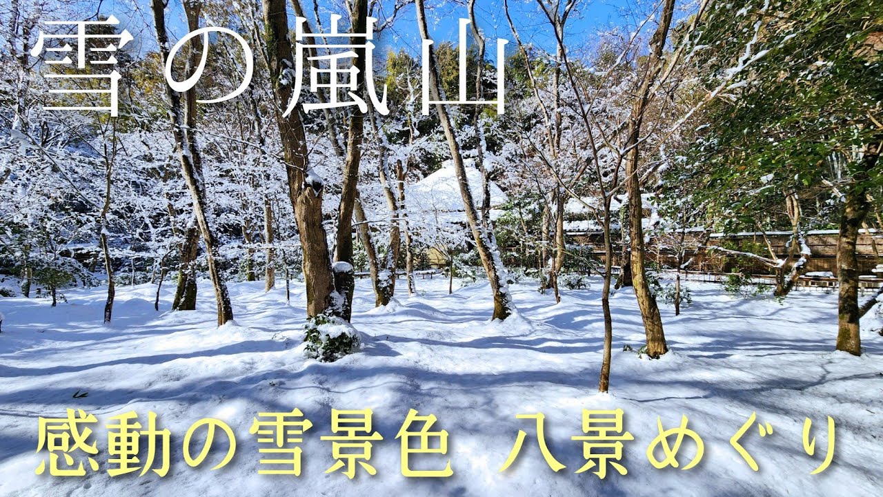【雪の京都】嵐山・嵯峨野エリアで雪の絶景めぐり Kyoto,Arashiyama